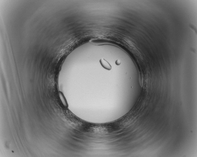 X0000099970500200806131535