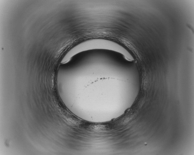 X0000099970501200806131535