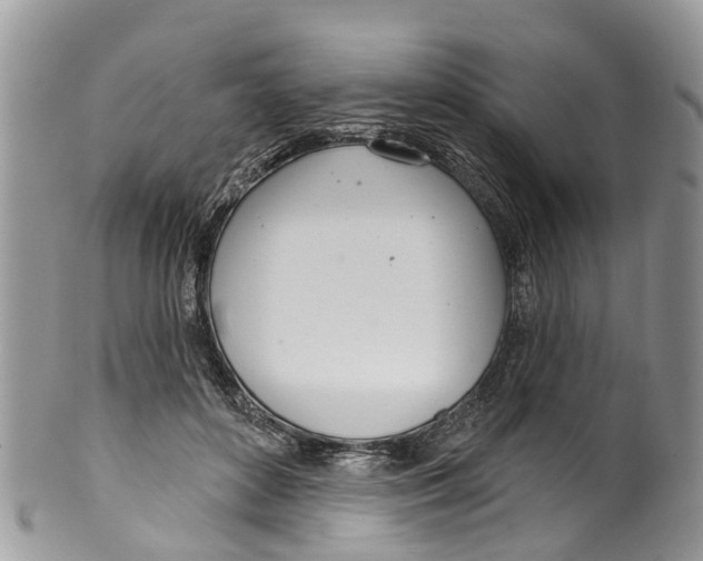 X0000099970504200806131535