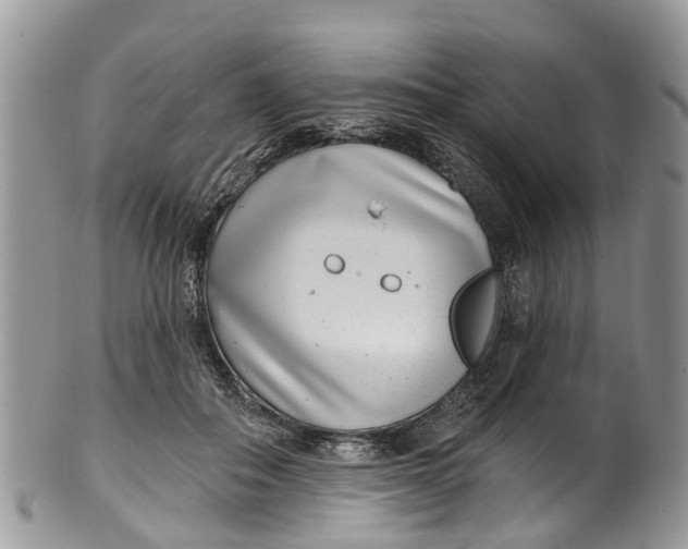 X0000099970506200806131535