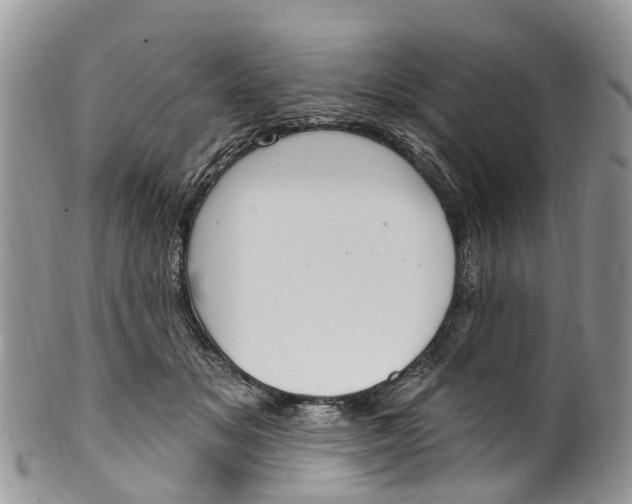 X0000099970509200806131535