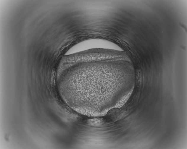 X0000099970511200806131535