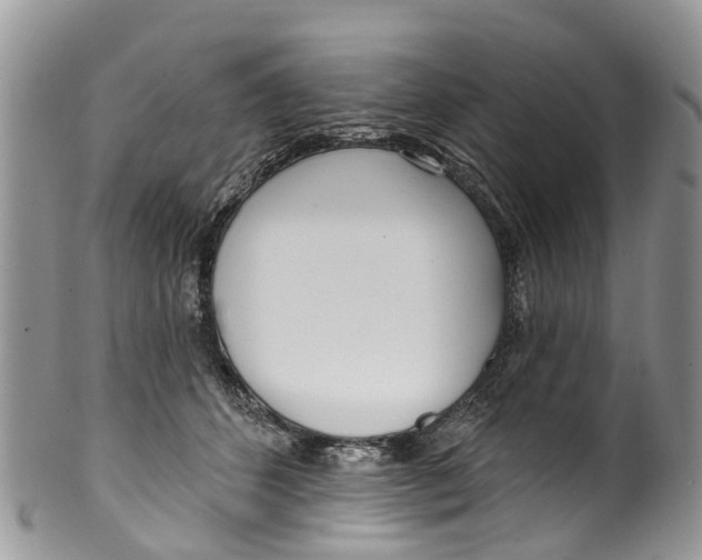 X0000099970512200806131535