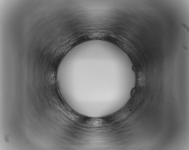 X0000099970514200806131535