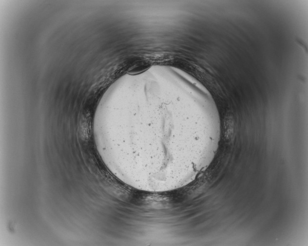 X0000099970515200806131535