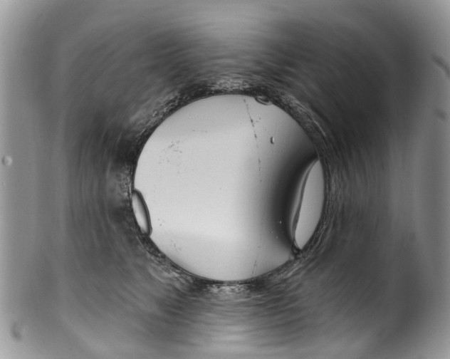 X0000099970517200806131535