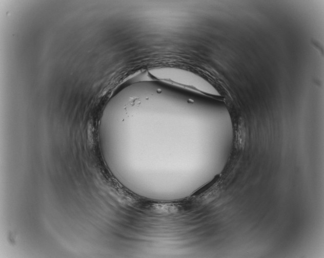 X0000099970520200806131535