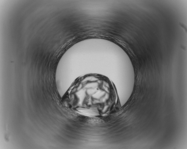 X0000099970521200806131535