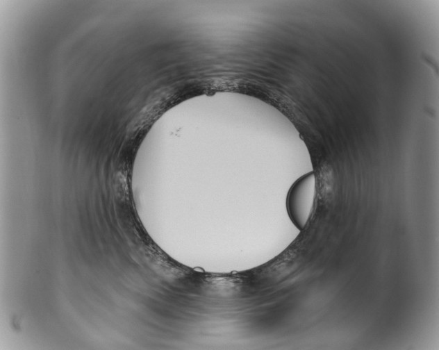 X0000099970522200806131535