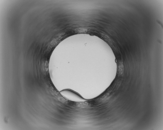 X0000099970525200806131535