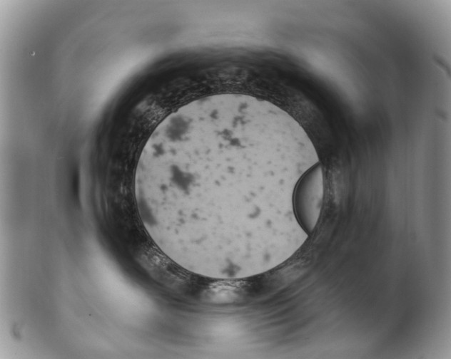 X0000099970526200806131535