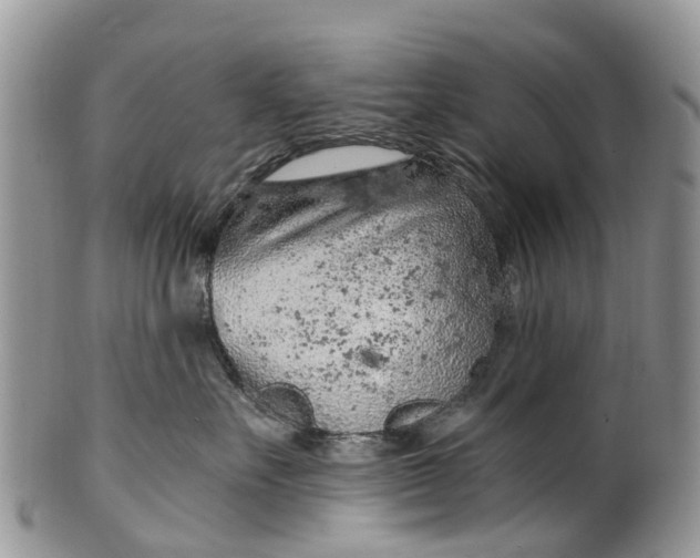 X0000099970527200806131535