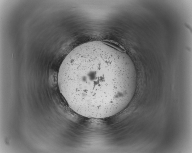 X0000099970528200806131535