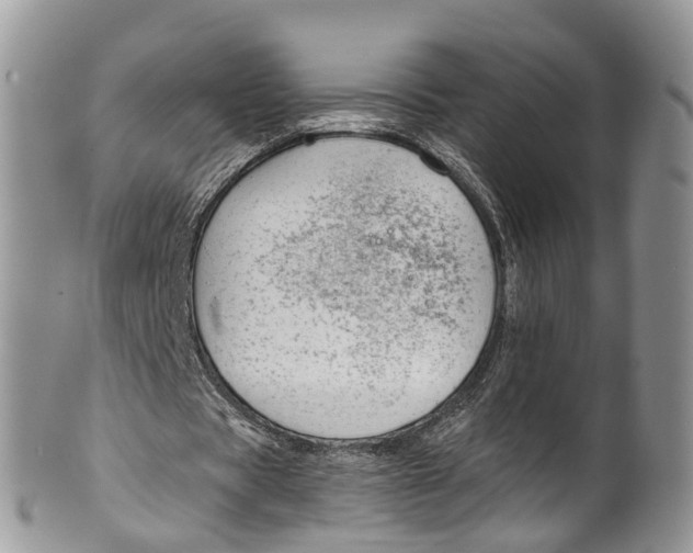 X0000099970529200806131534