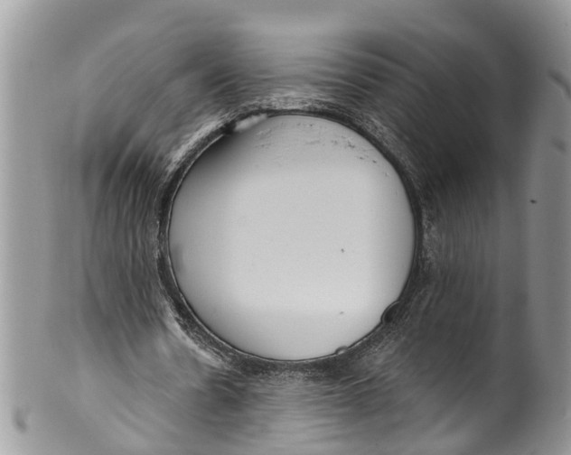 X0000099970530200806131534