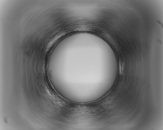 X0000099970531200806131534