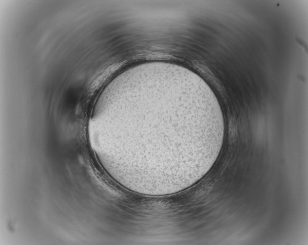 X0000099970533200806131534