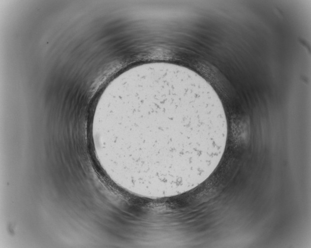 X0000099970534200806131534