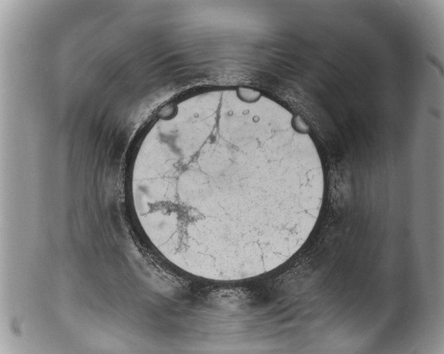 X0000099970536200806131534