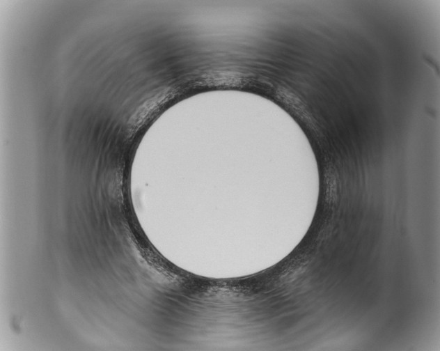 X0000099970538200806131534