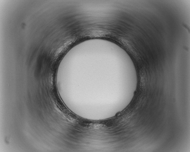 X0000099970539200806131534