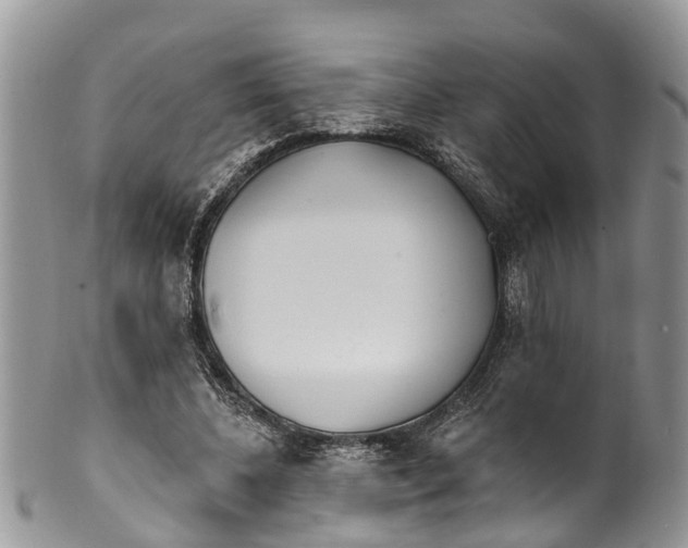 X0000099970540200806131534