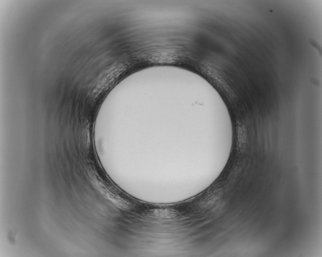 X0000099970541200806131534