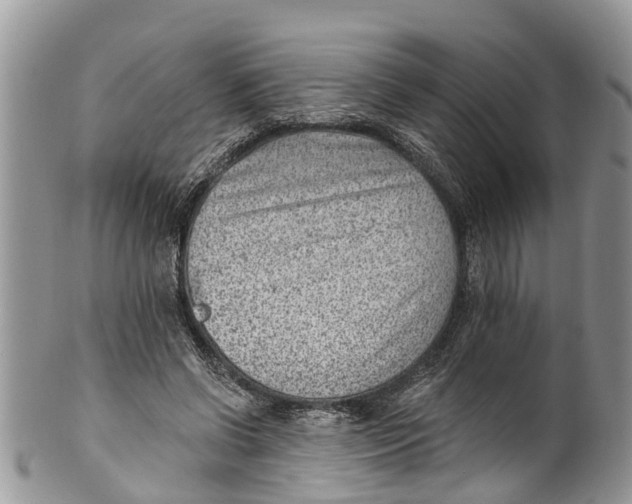 X0000099970542200806131534