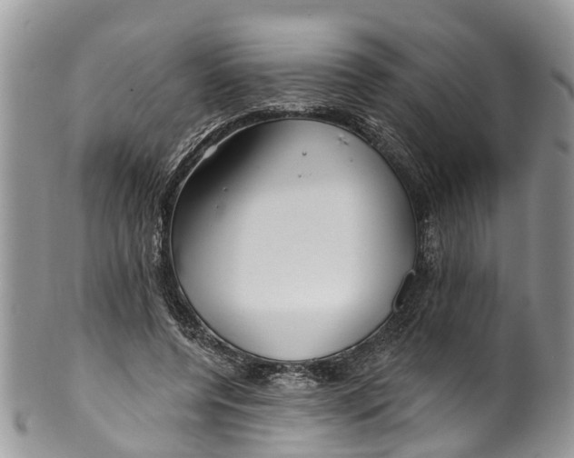 X0000099970544200806131534