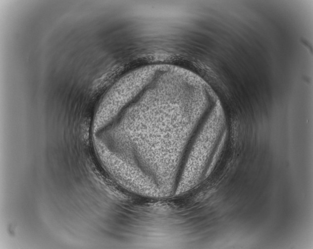 X0000099970545200806131534