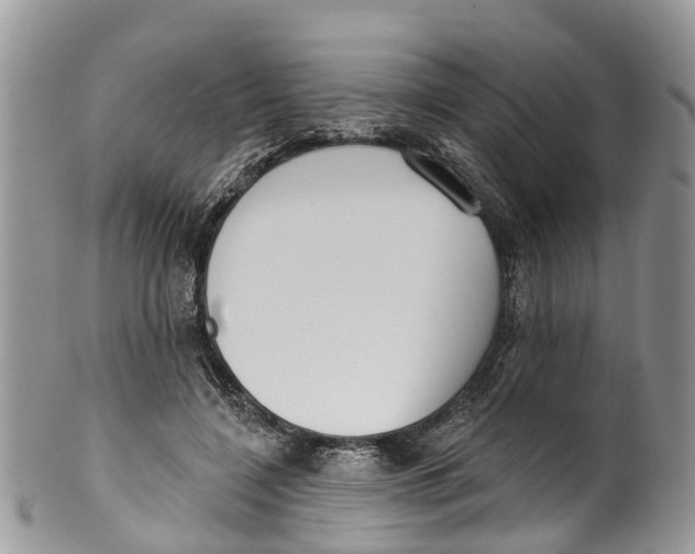 X0000099970548200806131534