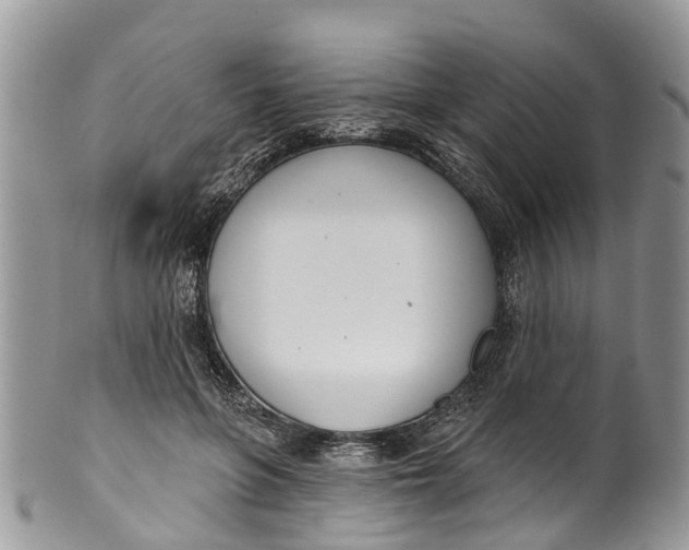 X0000099970551200806131534