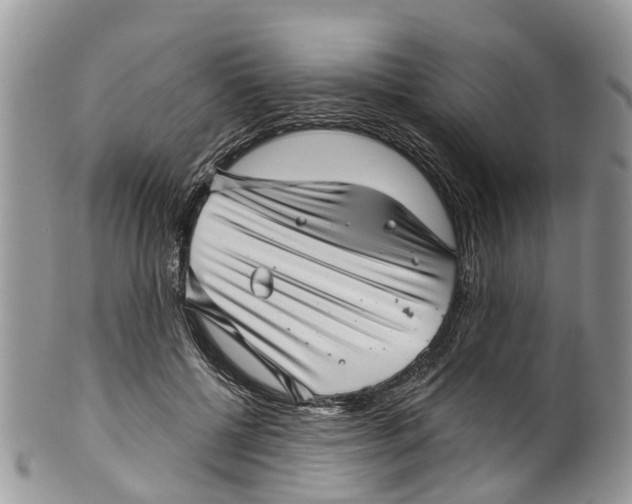 X0000099970552200806131534