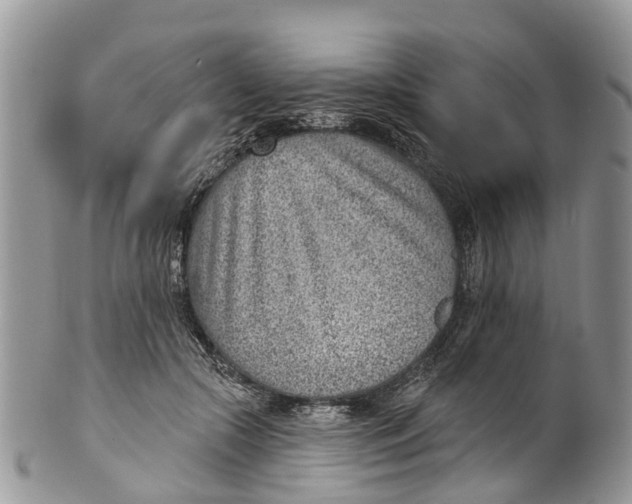 X0000099970553200806131534