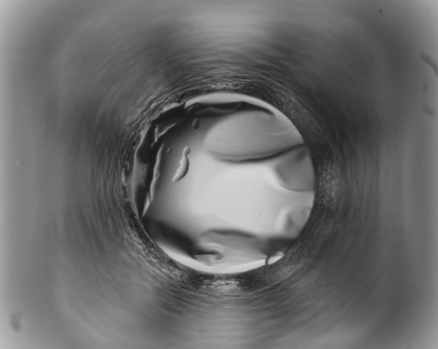 X0000099970554200806131534