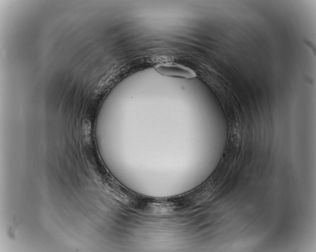 X0000099970556200806131534