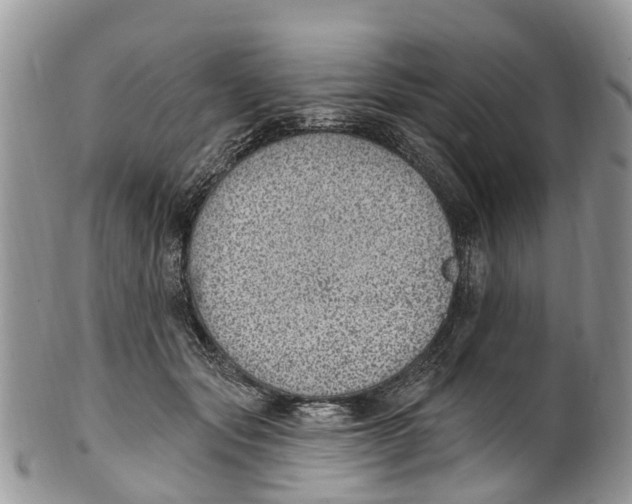 X0000099970557200806131534