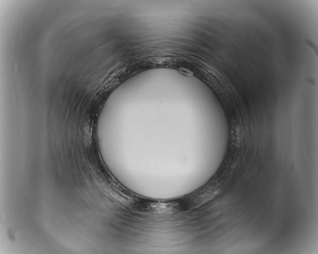 X0000099970558200806131534