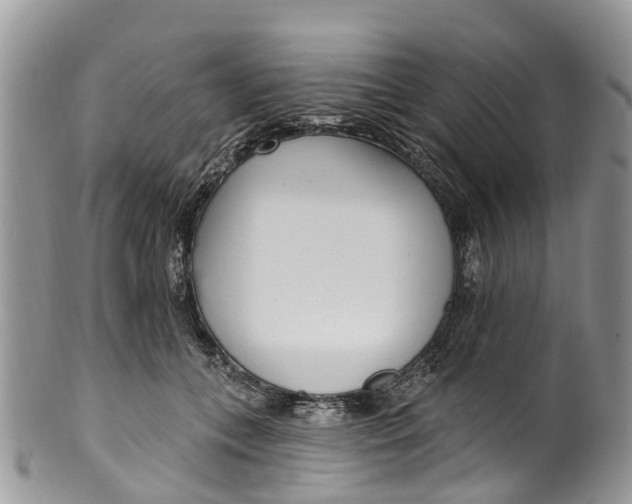 X0000099970559200806131534