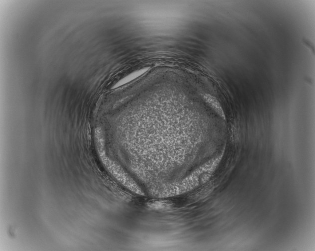 X0000099970561200806131534