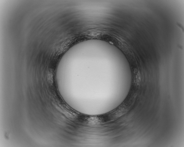 X0000099970562200806131534