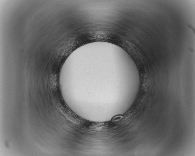 X0000099970563200806131534