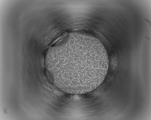 X0000099970565200806131534