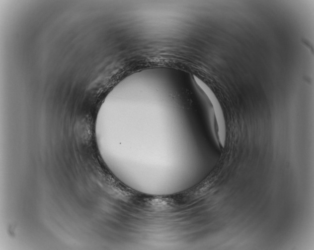 X0000099970566200806131534