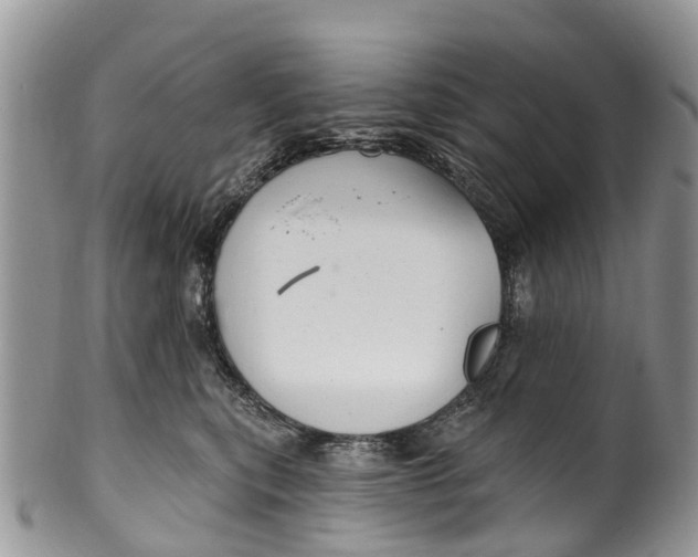 X0000099970567200806131535