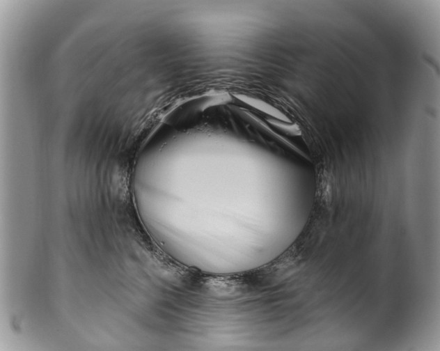 X0000099970568200806131535