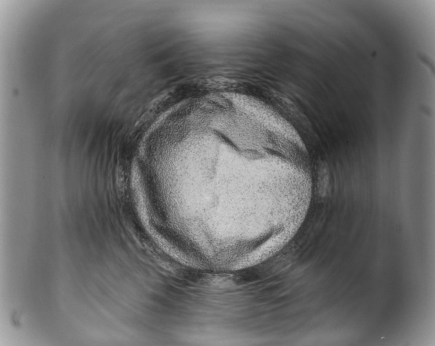 X0000099970569200806131535