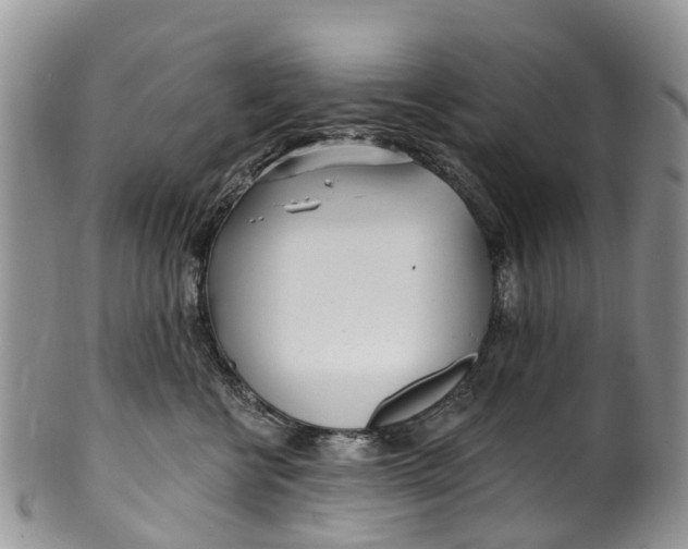 X0000099970570200806131535