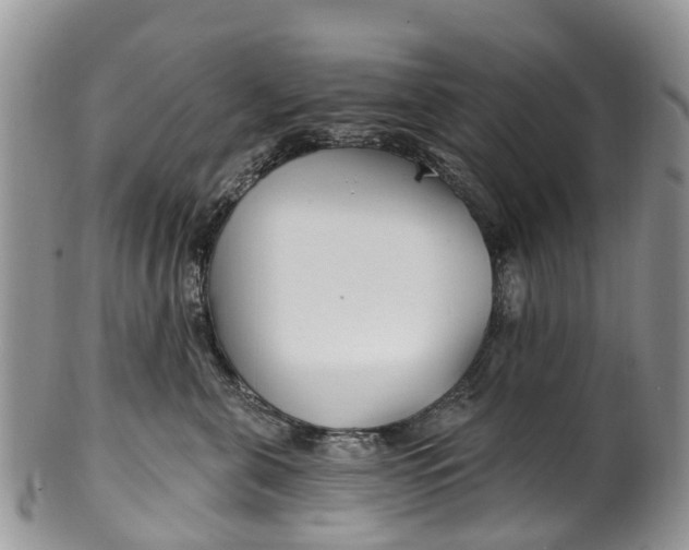 X0000099970571200806131535