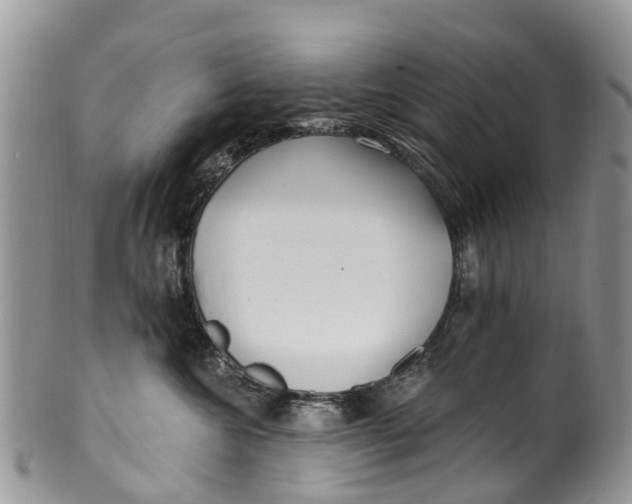 X0000099970572200806131535